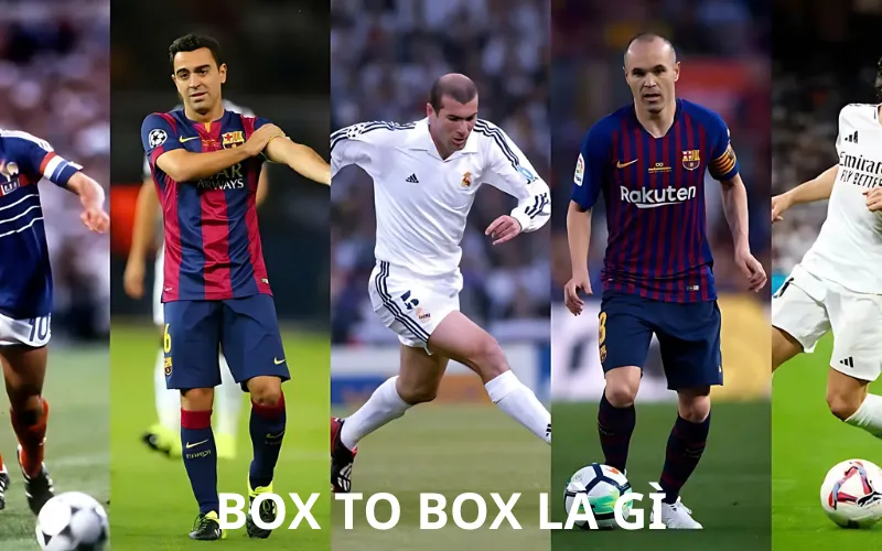Box To Box Là Gì