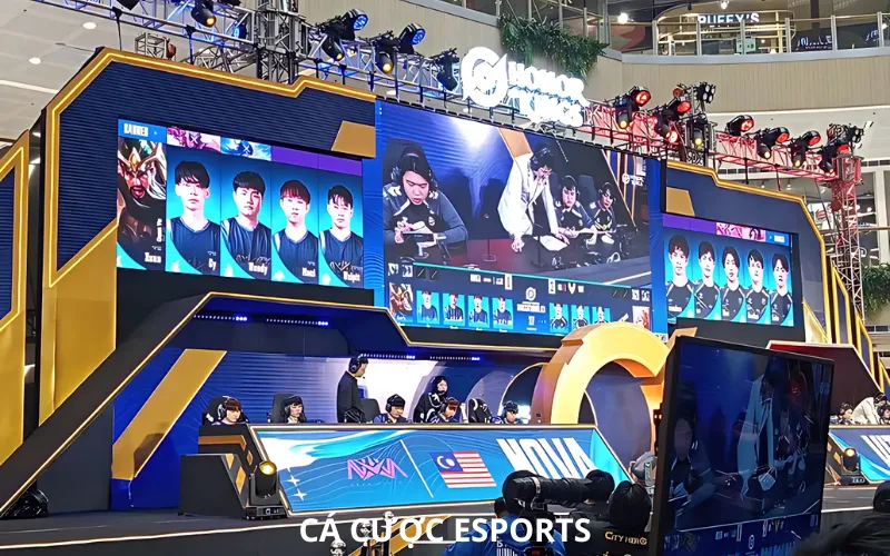 Lợi ích khi tham gia chơi cá cược Esports