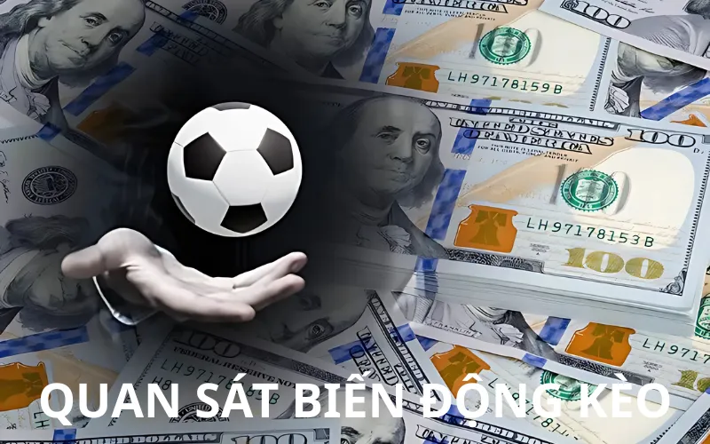 Quan sát biến động kèo