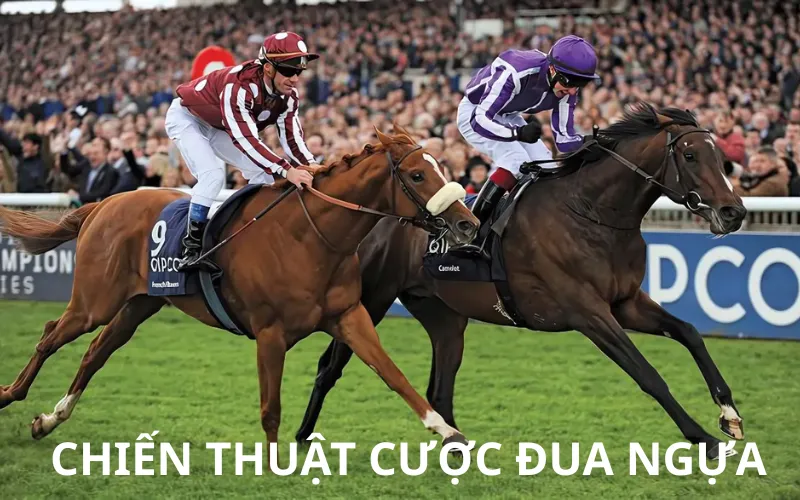 chiến thuật cược đua ngựa